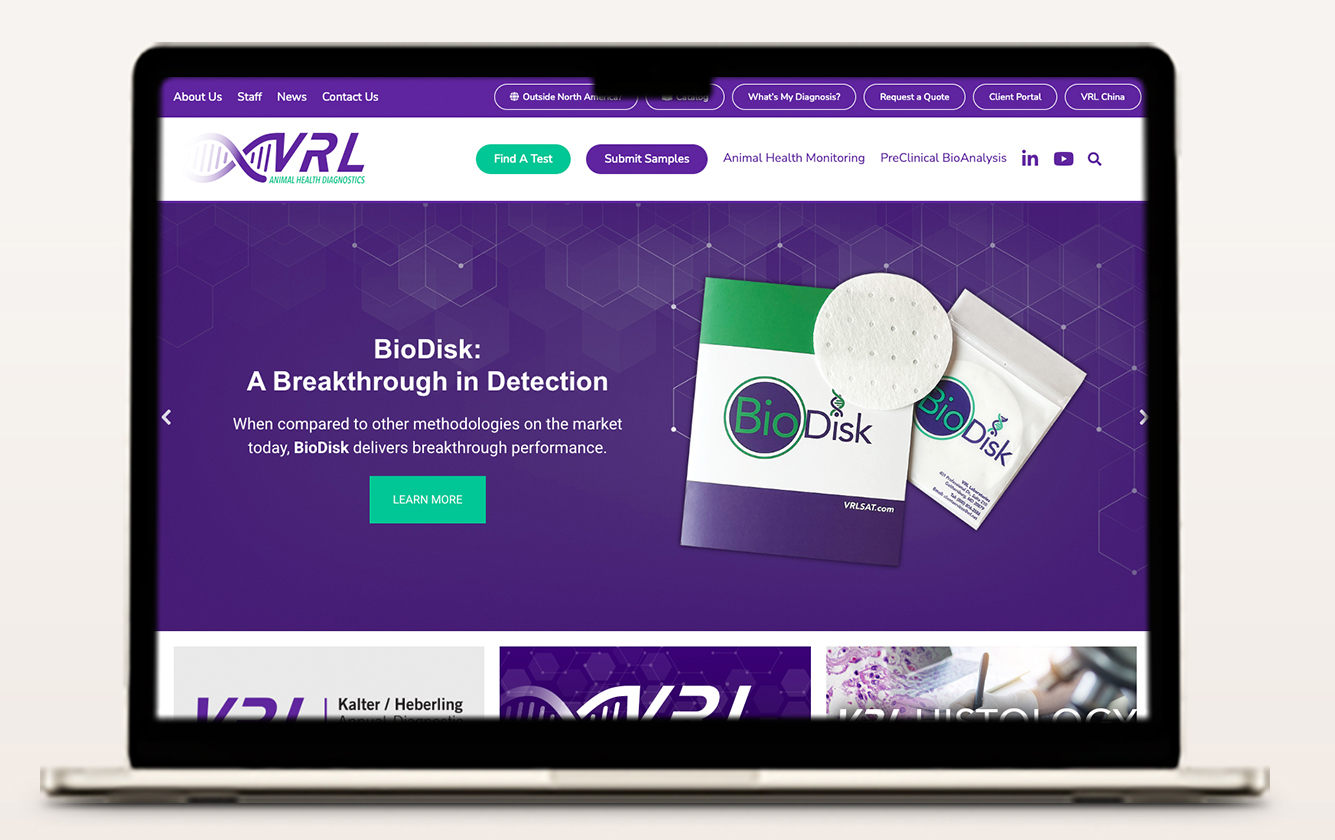 Website Mockup copy 2