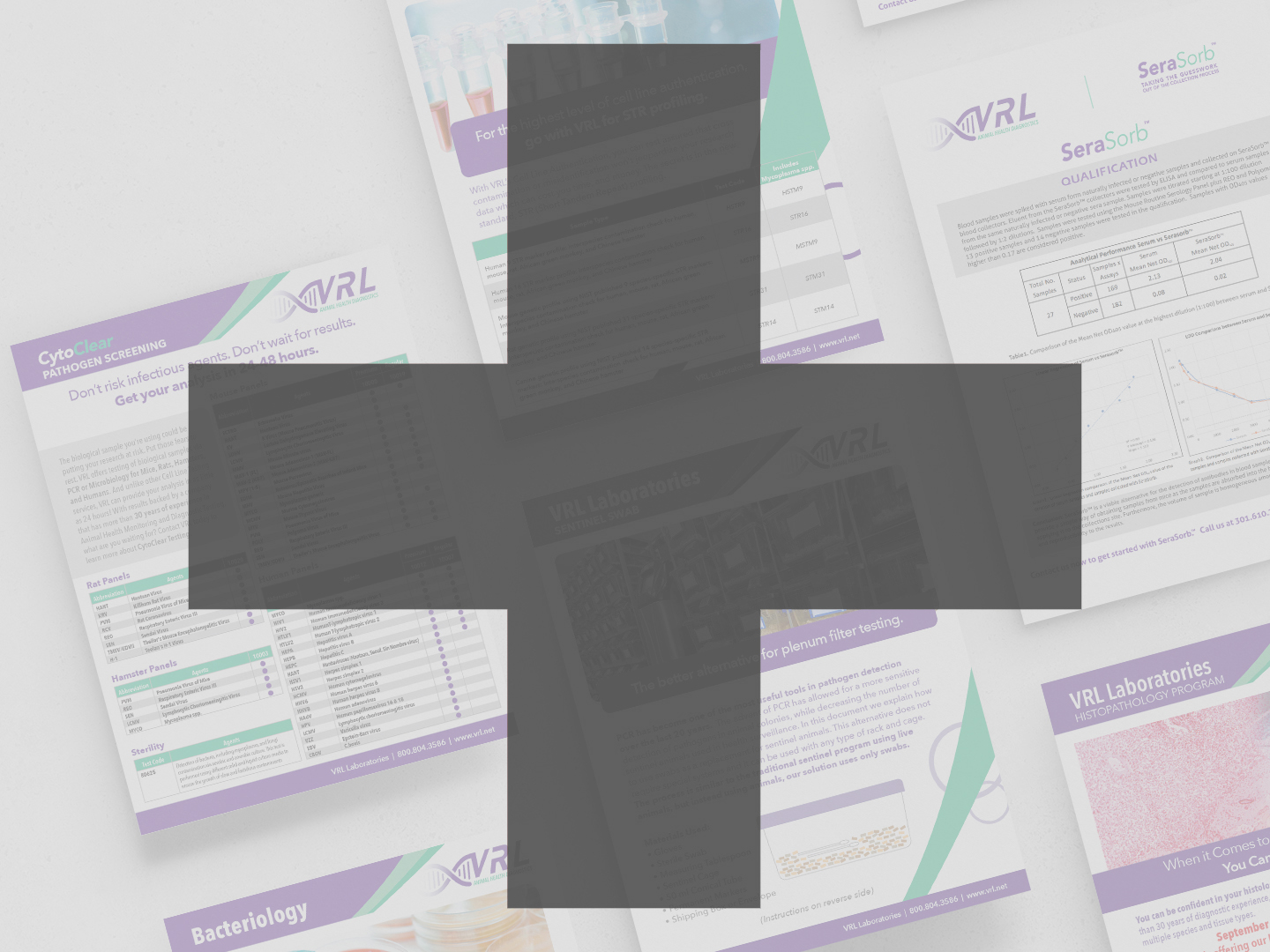 VRL-Flyer-Mockup-overlay